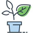 growth icon